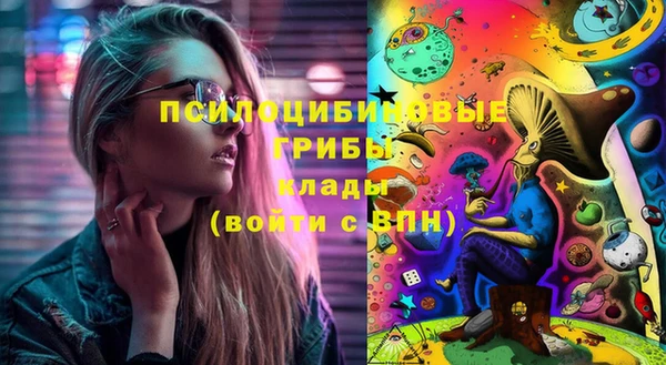 spice Алексеевка