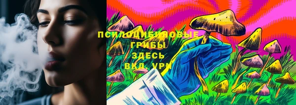 spice Алексеевка