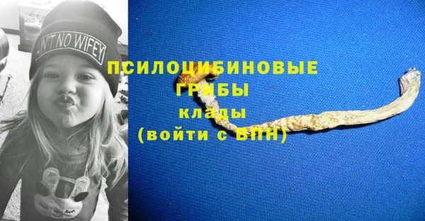 не бодяженный Алзамай